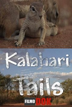 Хвостатые пустыни Калахари / Kalahari tails (2007, HD720)