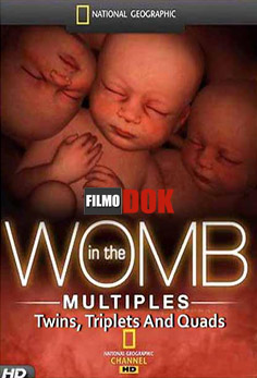 Жизнь до рождения. Близнецы. Двойни, тройни, четверни / In The Womb. Twins, Triplets And Quads (2007, HD720, National Geographic)