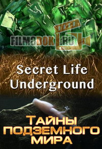 [HD] Тайны подземного мира (Секреты подземной жизни) / 2015