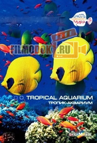 [HD] Тропический аквариум 2 / Tropical Aquarium / 2016