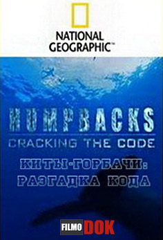 Киты-горбачи: разгадка кода / Humpbacks: Cracking the Code (2008, HD720, National Geographic)
