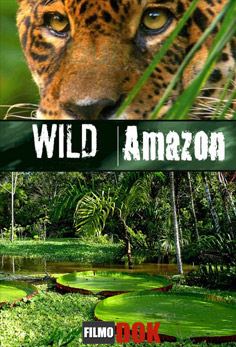 Дикая природа Амазонки / Wild Amazon (2 серии из 2, 2010, HD720, National Geographic)