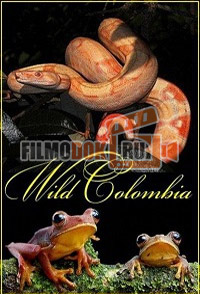 [HD] Дикая Колумбия / Wild Colombia / 2014