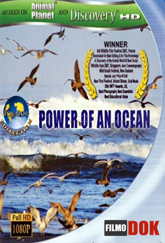 Экватор. Сила океана / Equator. Force of the Ocean  (1 серия из 6, 2005, HD720)