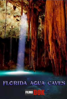 Водные пещеры во Флориде / Florida Aqua Caves (2000)