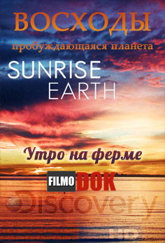 Восходы. Утро на ферме / Hi-Definition Theatre: Sunrise Earth. Milk Cows in the Morning (2004, HD720, Discovery)