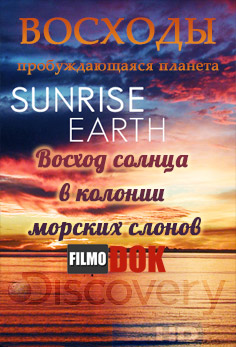 Восходы. Восход солнца в колонии морских слонов / Hi-Definition Theatre: Sunrise Earth. Sunrise Seal Colony (2006, HD720, Discovery)