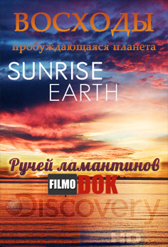 Восходы. Ручей ламантинов / Hi-Definition Theatre: Sunrise Earth. Manatee Spring (2004, HD720, Discovery)