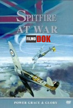 Воздушные асы войны: Победоносный "Спитфайр" / War heroes of the skies: Spitfire victory (2012, National Geographic)