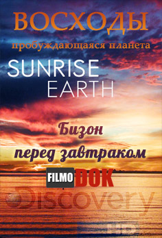 Восходы. Бизон перед завтраком / Hi-Definition Theatre: Sunrise Earth. Bison Before Breakfast (2004, HD720, Discovery)