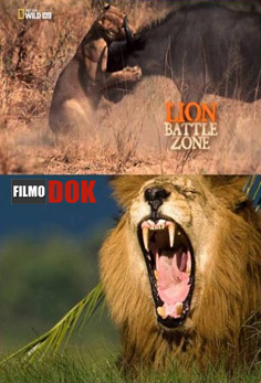 Война львов / Lion Battle Zone (2011, HD720, National Geographic)