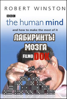 Лабиринты мозга / The Human Mind. (2003, BBC)