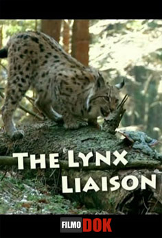 Рыси. История Лизы и Муро / The Lynx Liaison (2010)