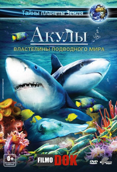Акулы: Властелины подводного мира / Sharks: Kings of the Ocean (2013, HD720)