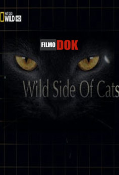 Дикая сторона кошек / Wild Side of Cats (2012, National Geographic)