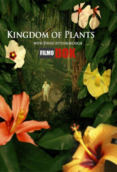 Царство растений / Kingdom of Plants (3 серии из 3, 2012, HD720)