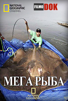 National Geographic: Мегарыба / Mega Fish (2008)