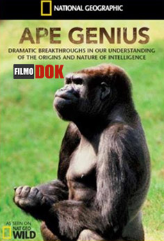 Способности обезьян / National Geographic. Ape Genius (2008)