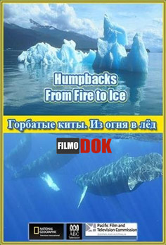 Горбатые киты. Из огня в лёд / Humpbacks. From Fire to Ice (2008, HD720)