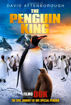 Король пингвинов / The Penguin King (2012, HD720)