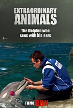 Необыкновенные животные: Дельфин, который видит ушами / Extraordinary Animals: The Dolphin Who Can See With His Ears (2008)