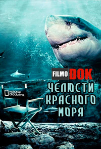 Челюсти Красного моря / National Geographic. Red Sea Jaws (2011, HD720)