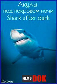 Акулы под покровом ночи / Discovery. Shark after dark (2009)