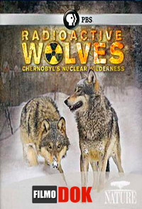 Радиоактивные волки Чернобыля / Radioactive wolves (2011, HD720)
