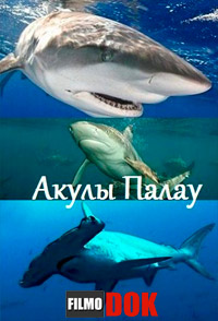 Рай для Хищников: Акулы Палау / Paradise for Predators: Sharks of Palau (2004)