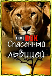 Спасённый львицей / National Geographic: Saved By The Lioness (2011, HD720)