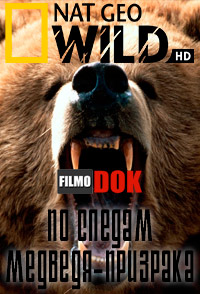 По следам медведя-призрака. Убийственные кадры / National Geographic. Killer shots. Tracking The Ghost Bear (2011, HD720)