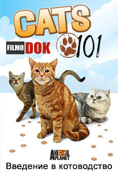 Введение в котоводство / Cats 101 (10 серий, 3 сезона, 2008-2010)