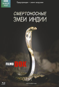 Живой мир - Смертоносные змеи Индии / The Natural World - One Million Snake Bites (2011, BBC, HD720)