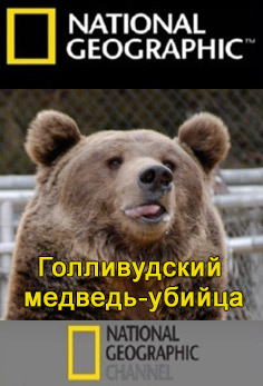 Голливудский медведь-убийца / Hollywood Bear Tragedy (2010, HD720, National Geographic)