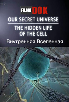 Внутренняя Вселенная: тайная жизнь клетки / Secret Universe: The Hidden Life of the Cell (2012, BBC.