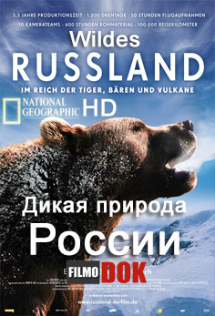 Дикая природа России (Россия от края до края) / Wildes Russland (6 серий из 6, 2009, HD720)