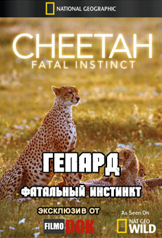 Гепард: Фатальный инстинкт Cheetah: Fatal Instinct (2012, HD720)