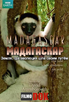Мадагаскар: Земля, где эволюция шла своим путём / Madagascar: The land where evolution ran wild (4 эпизода, 2011, BBC, HD720)