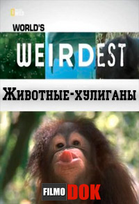Самые странные в мире: Животные-хулиганы / World's Weirdest: Animals Behaving Badly (2013)