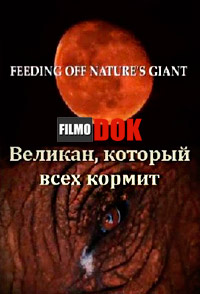 Великан, который всех кормит / Animal Planet: Feeding Off Nature's Giant (2010)