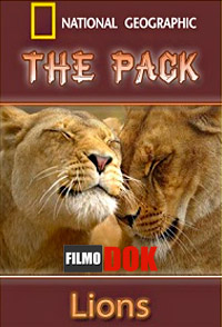 Стая. Львы / National Geographic. The Pack. Lions (2010, HD720)
