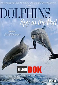 Дельфины. Шпион в стае / Dolphins. Spy In The Pod (1-2 серии из 2, 2014, HD720)