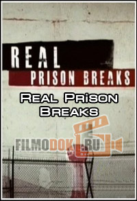Я сбежал: настоящие побеги из тюрьмы / I Escaped: Real Prison Breaks (2010)