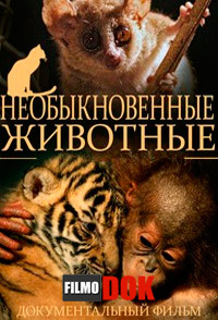 Необыкновенные животные / Extraordinary Animals (4 серии из 4, 2008)