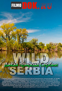 Дикая природа Сербии / Wild Serbia (2011)
