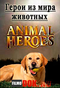 Герои из мира животных / Animal Heroes (2013)
