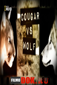 [HD720] Пума против волка / Nat Geo Wild: Cougar vs Wolf / 2013