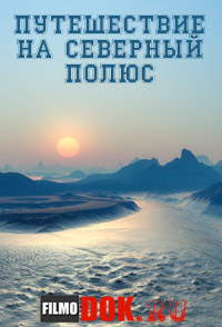 Путешествие на северный полюс / Voyage to the north pole / 2011