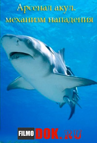 Арсенал акул. Механизм нападения / Great White Code Red (2014) National Geographic.