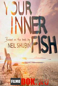 Внутренняя рыба / Your Inner Fish / 2014